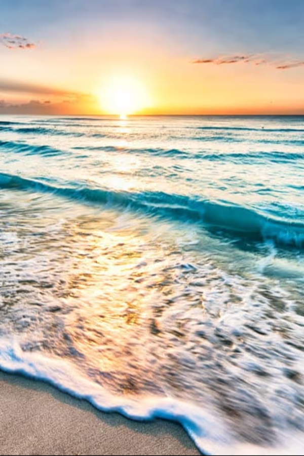 Cruise Brothers Travel Agent Donald Jones TX